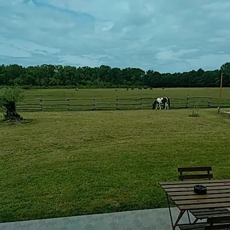 Eco Nature, Gite A La Ferme Vendays-Montalivet Extérieur photo