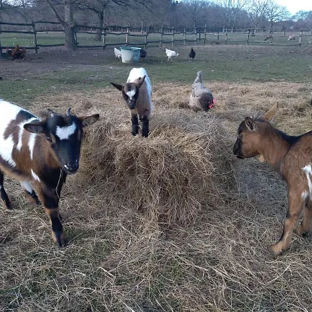 Eco Nature, Gite A La Ferme Vendays-Montalivet Extérieur photo