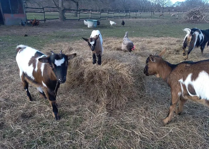Eco Nature, Gite A La Ferme