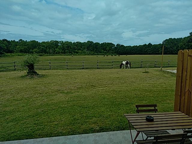 Eco Nature, A La Ferme *