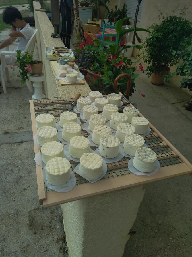 Apartment Eco Nature, A La Ferme