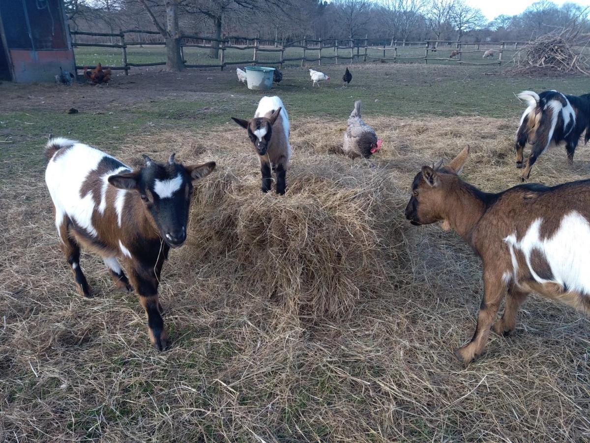 Apartment Eco Nature, A La Ferme